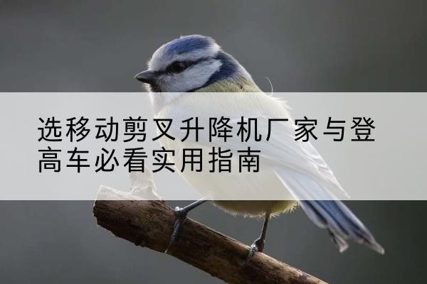萨迦电动升降机厂家-选移动剪叉升降机厂家与登高车必看实用指南