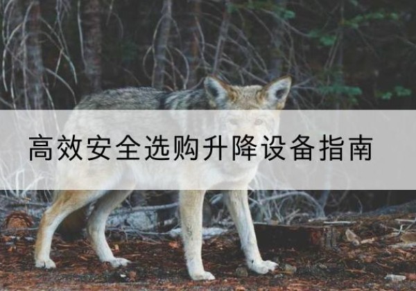萨迦升降货梯厂家推荐-*安全选购升降设备指南